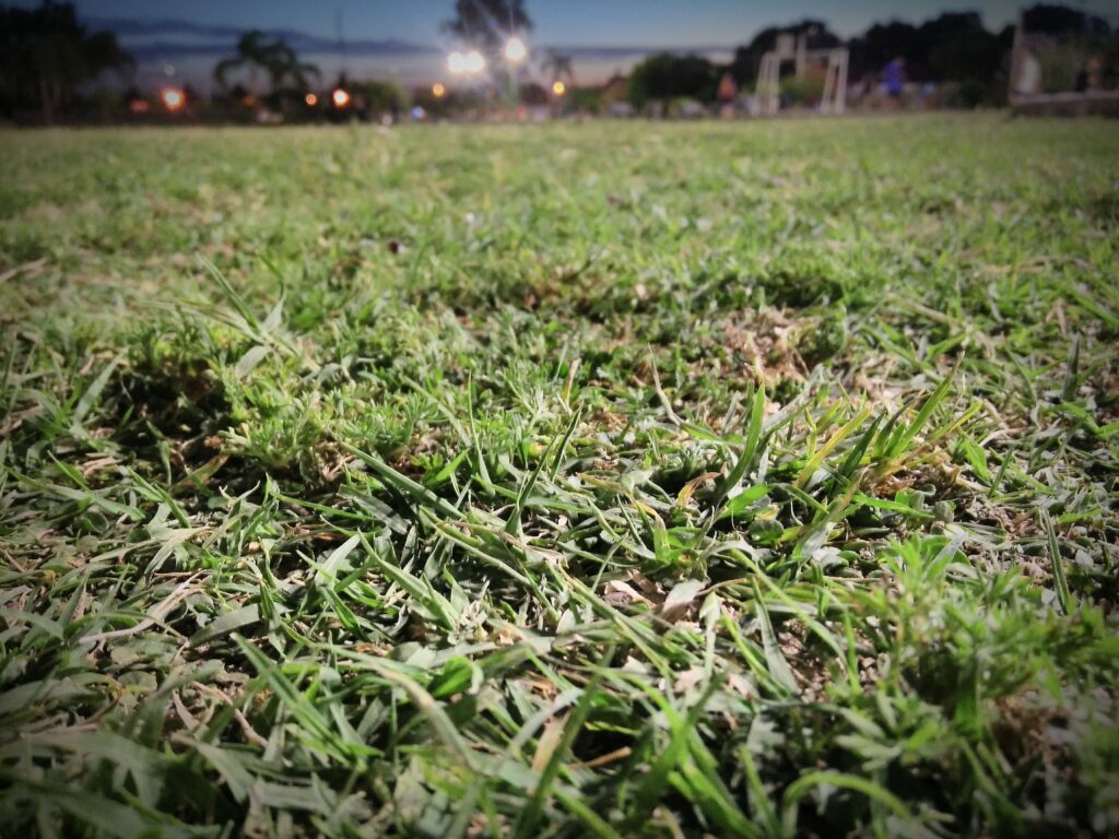 Artificial Pitch Decompaction Service